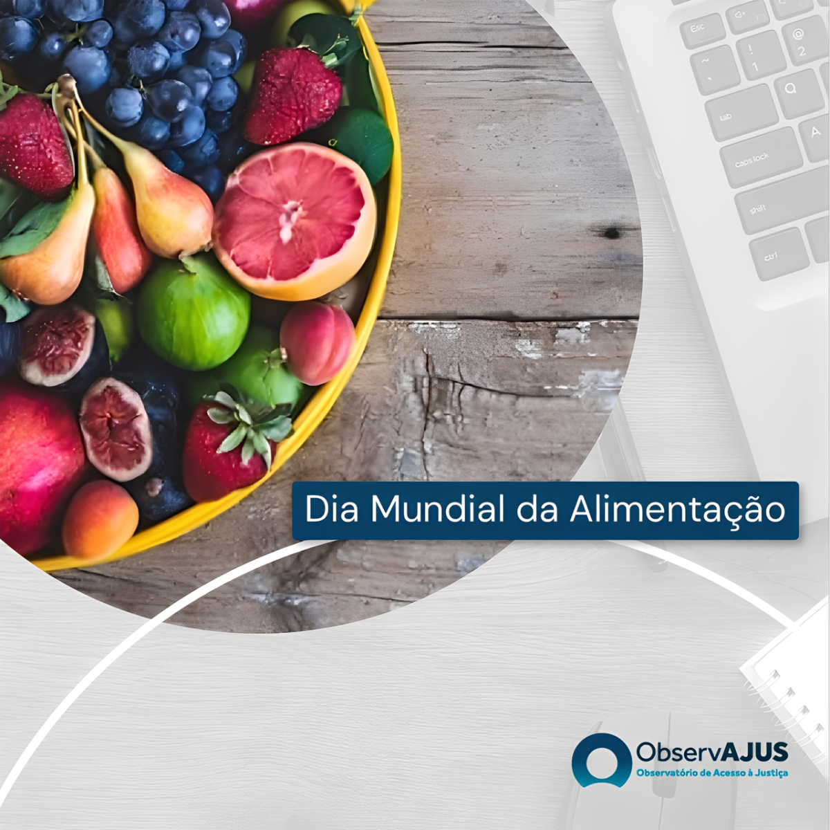 16 de Outubro – Dia Mundial da Alimentação
